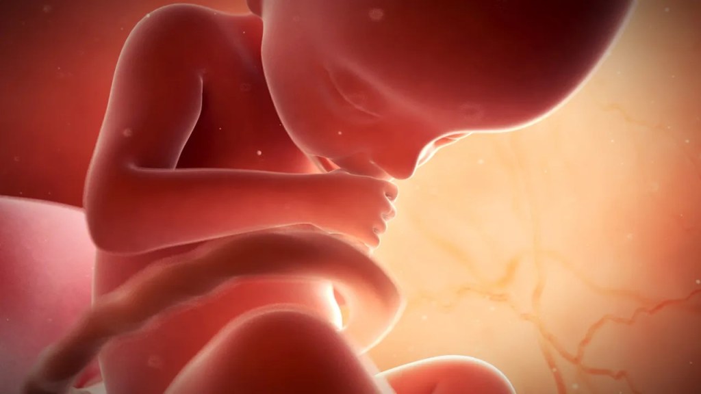 Emanuil = Bog je s&nbsp;nama